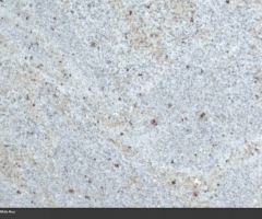 Kashmir-White-Neu