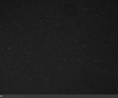 Oriental-Black